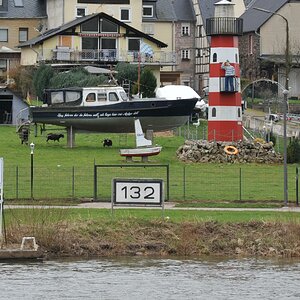 mosel_3711.jpg