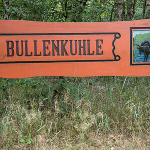 Bullenkuhle 6.jpg