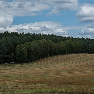 Bullenkuhle 7.jpg