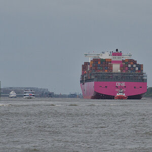 DSC_9562.jpg