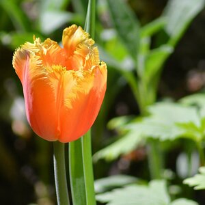 DSC_0307.JPG