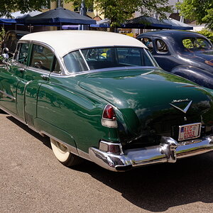 DSC_9923dxo.jpg