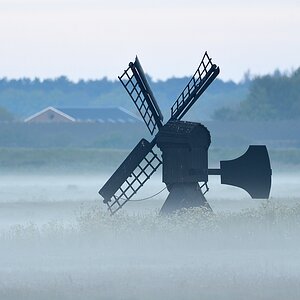 2019_11887.jpg