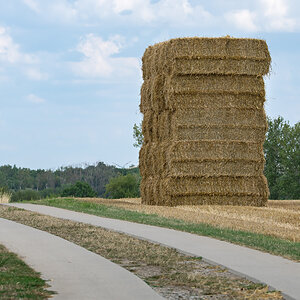 OF2_31469.jpg