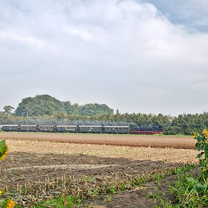 D3C_1607.jpg