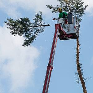 Man at work 3.jpg