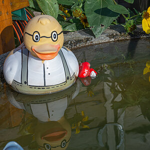 OF2_31749.jpg