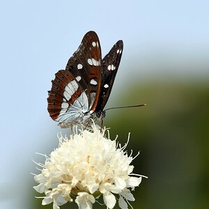 comp_DSC_1024.jpg