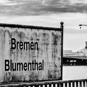Schild