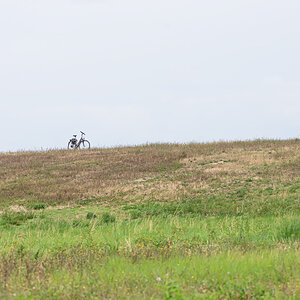 OF2_31733.jpg