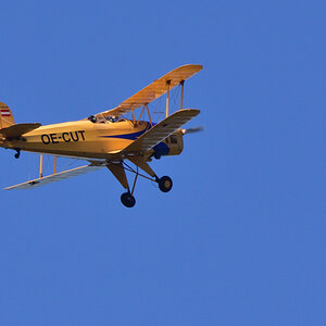 D72_4917.jpg