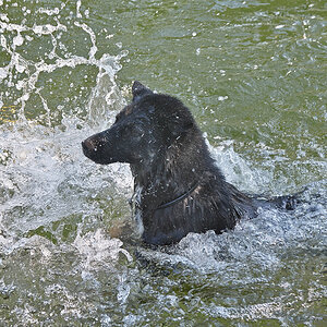 DSC_2301.jpg