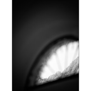 CasDSC_2361.jpg