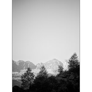 CasDSC_2346.jpg