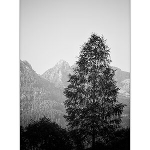 CasDSC_2334.jpg