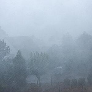 OF2_32113.jpg