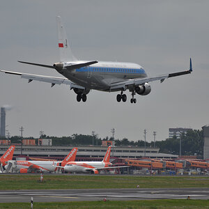 DSC_7137.JPG