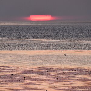 2019_16401.jpg
