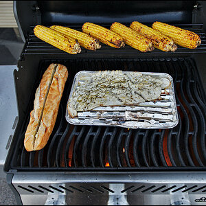 BBQ_SAS_0269_kl.jpg