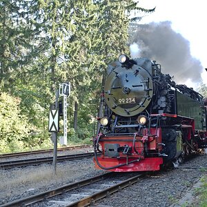 DSC_9896.jpg