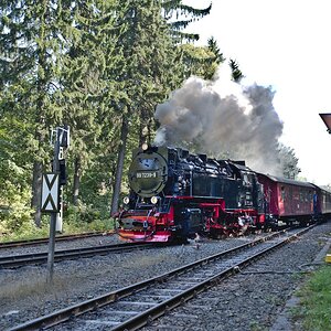 DSC_9905.jpg