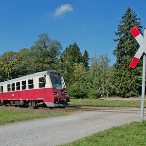 DSC_9910.jpg