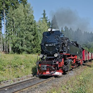 DSC_9912.jpg