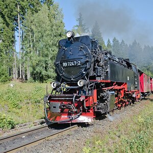 DSC_9913.jpg