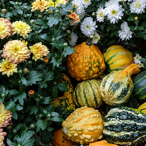 Herbst 01
