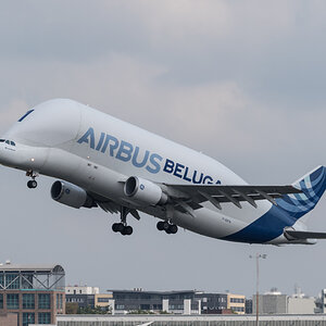 Airbus Beluga 2