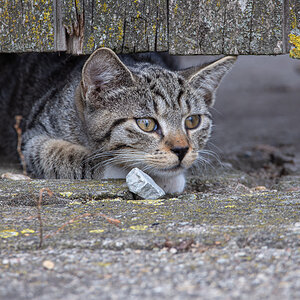 OF2_31543.jpg