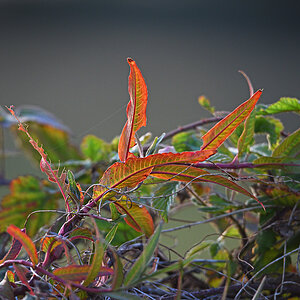811_4718at15l0fks70p1f.jpg