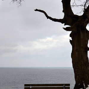 20180303_180335nf.jpg