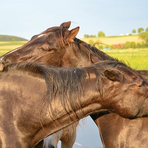 20140516_201440nf.jpg