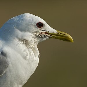 M8
