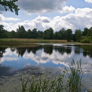 2009 06 05 Teich bei Biehla