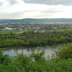 Rhein03