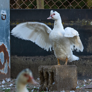 OF2_32590.jpg