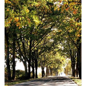 _Ich liebe unsere Landstraßen.jpg