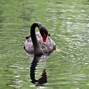 NZ6_1430.jpg