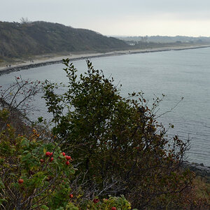 20111024_130824nf.jpg