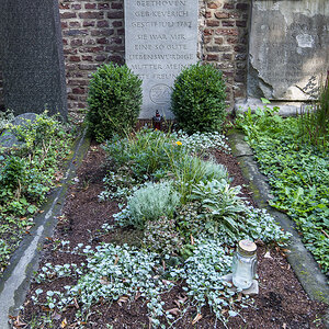 Alter Friedhof Bonn Beethoven.jpg