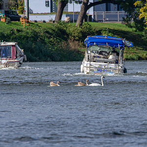 OF2_33320.jpg
