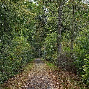 Herbstwall