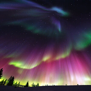 Auroras.jpg