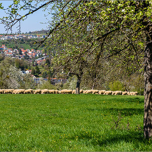 D75_0189.jpg