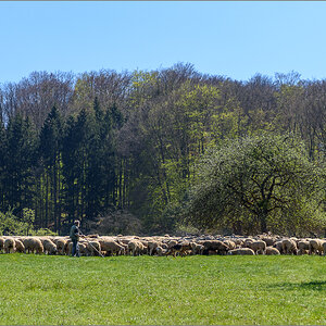 D75_0199.jpg