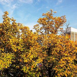 TZ_2019-10-16 16-30.jpg