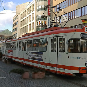 DSC_0170_CNXxl.jpg