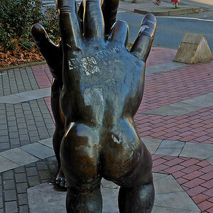 DSC_0253cnxAxl.jpg